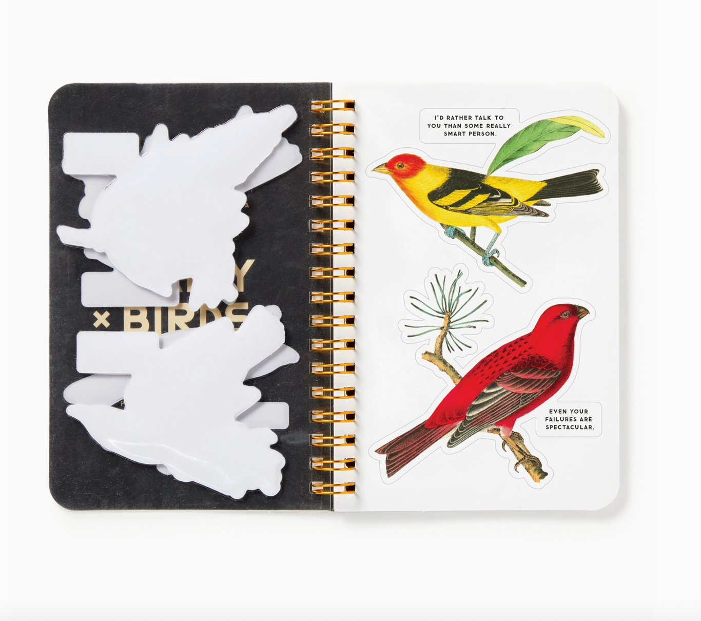 Salty Birds Sticker Book