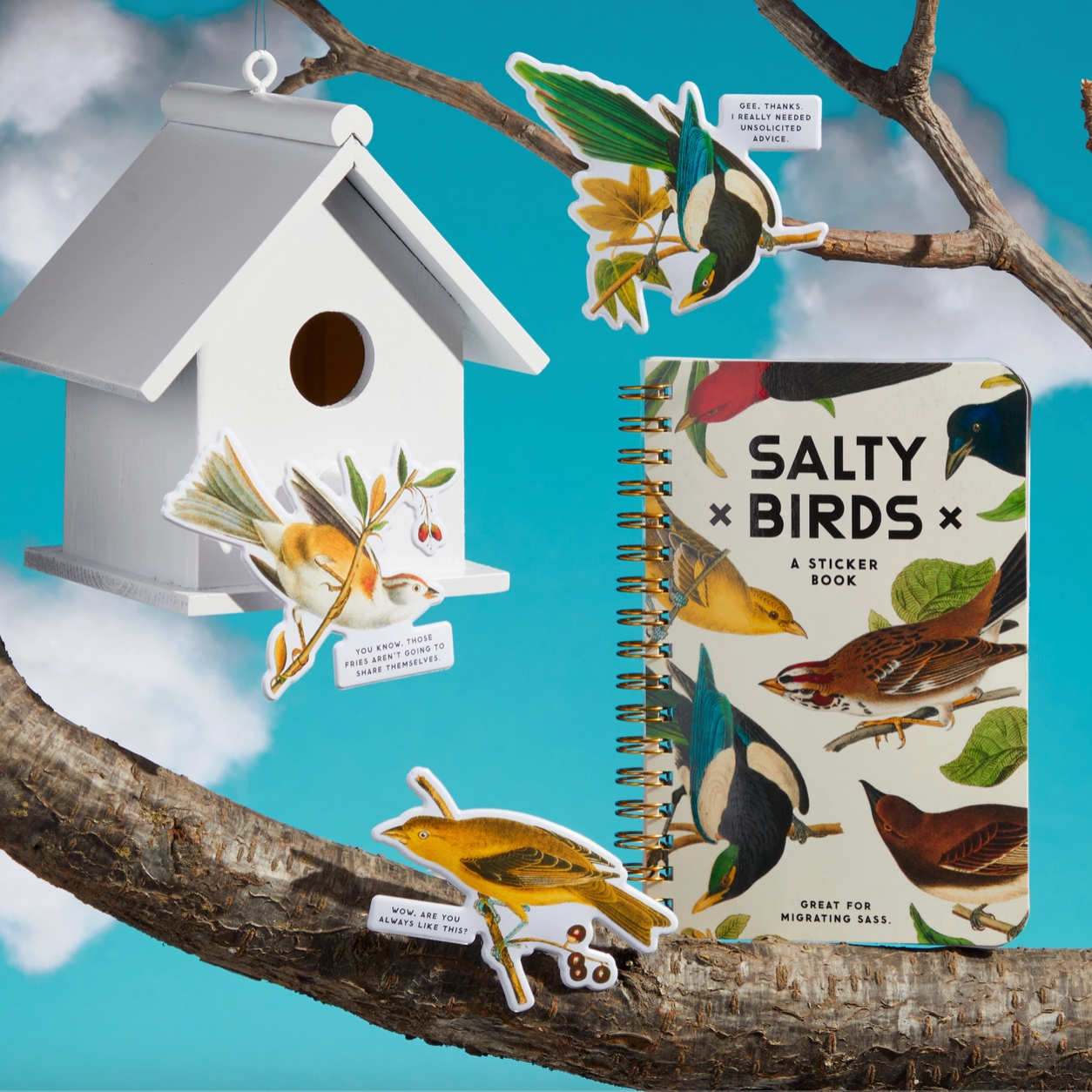 Birdhouse, bird stickers, and 'Salty Birds' sticker book on a branch with a blue sky background