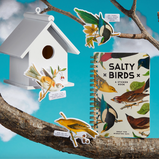 Birdhouse, bird stickers, and 'Salty Birds' sticker book on a branch with a blue sky background