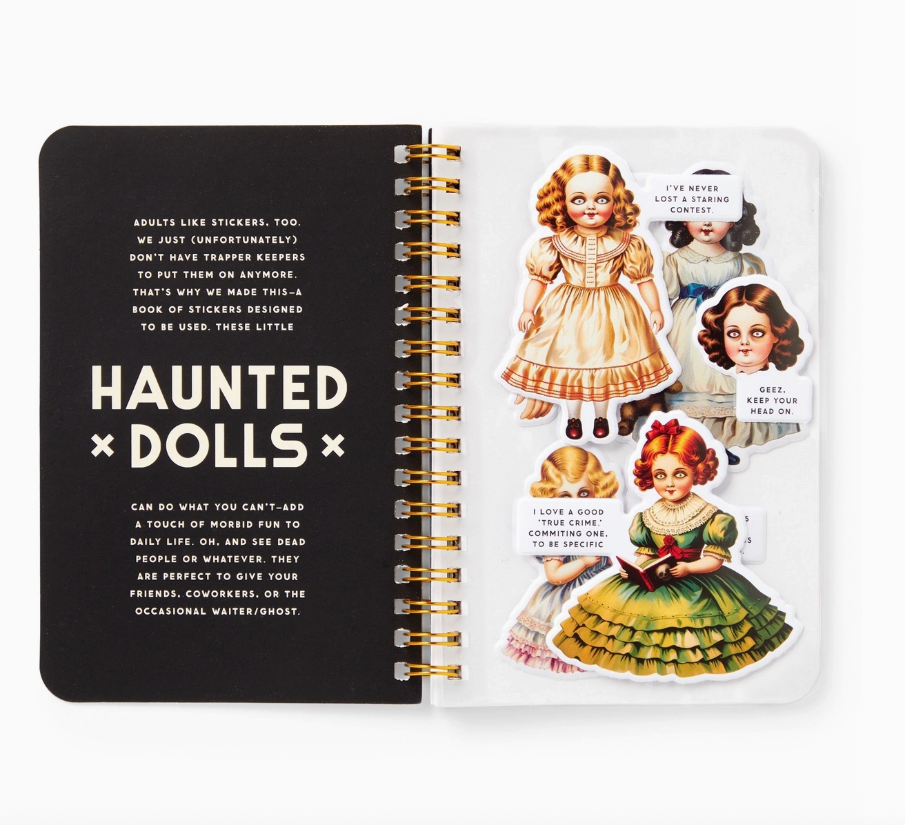 Haunted Dolls Sticker Book