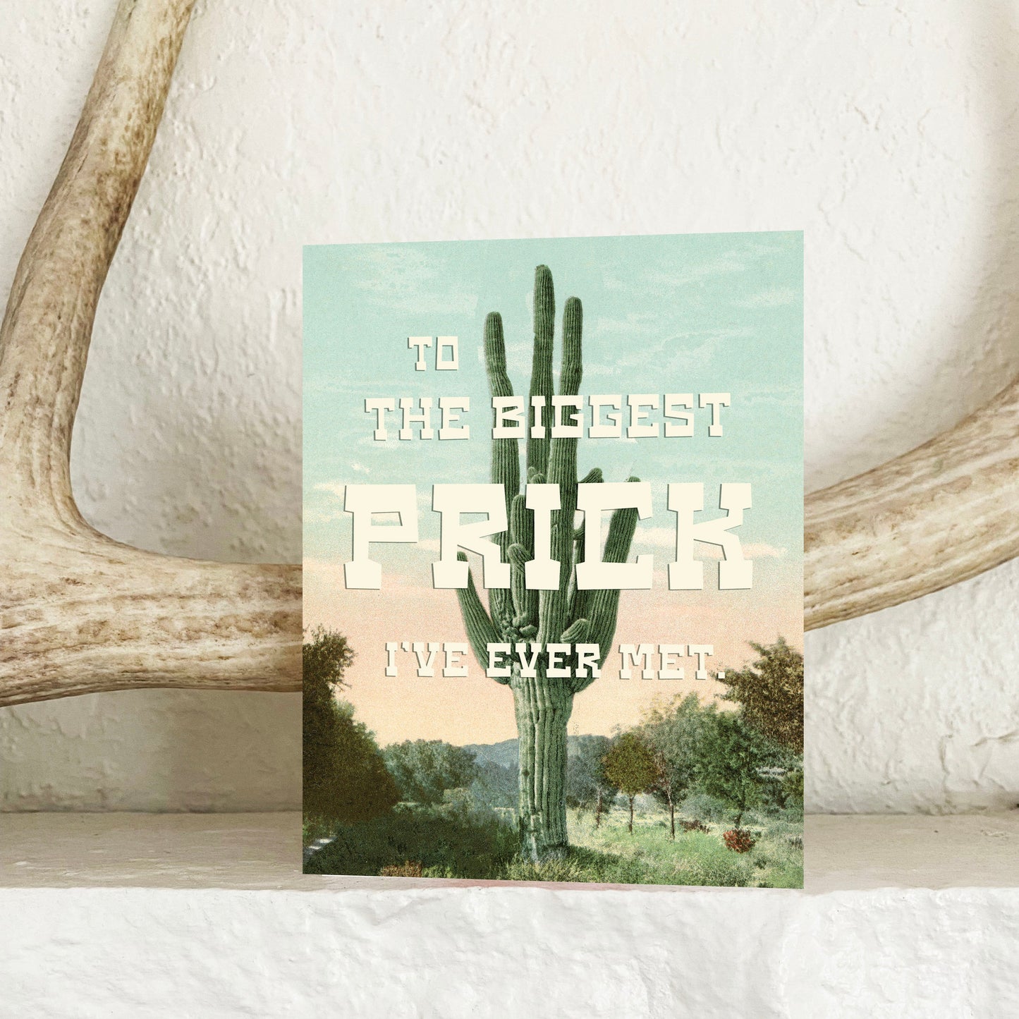A retro-style greeting card with a cactus illustration, text reads 'To the biggest prick I've ever met.'