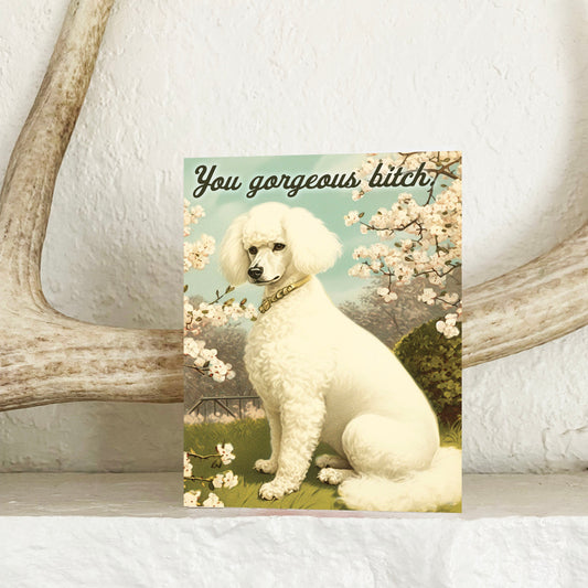 Vintage-style greeting card with a white poodle and floral background, text says you gorgeous bitch displayed on a wooden surface.