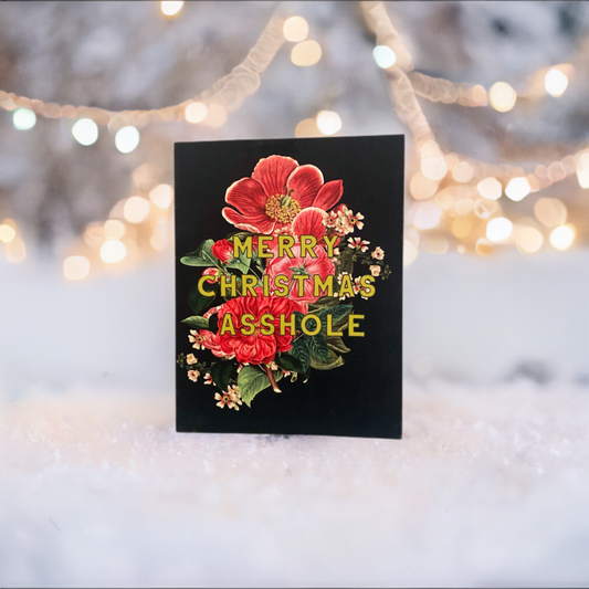 Merry Christmas Asshole Funny Holiday Card