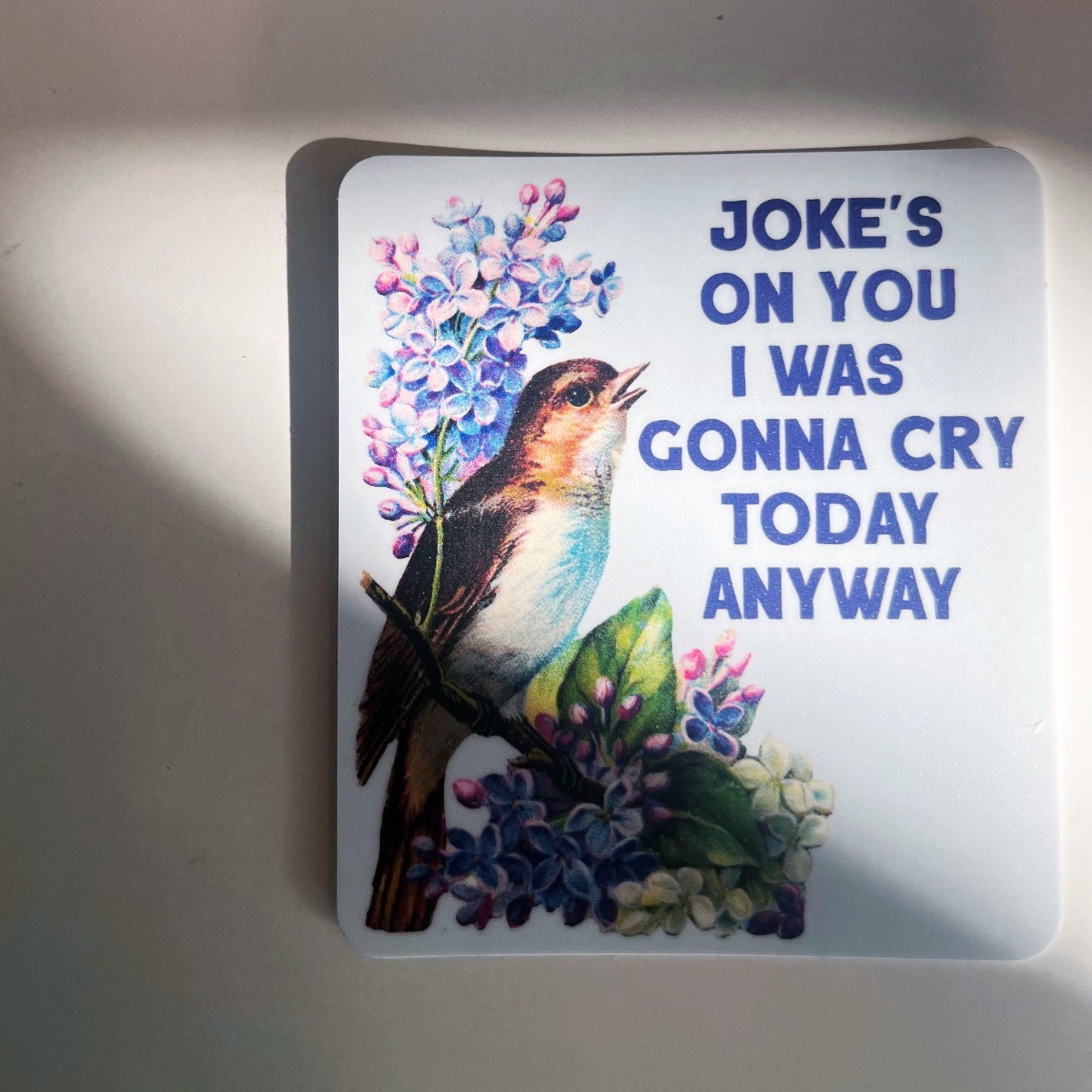 Decorative sticker with a bird and flowers and humorous text jokes on you i was going to cry anyway 