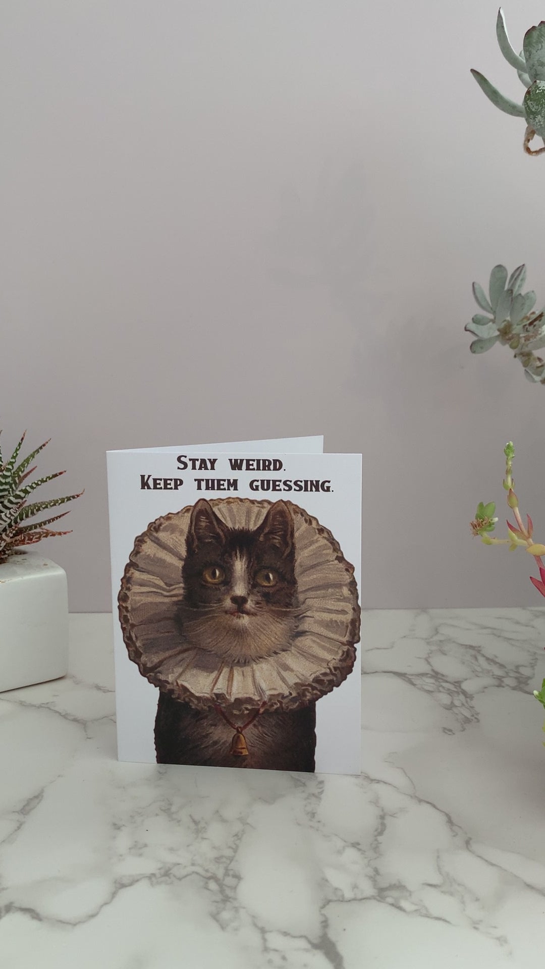 All purpose greeting card featuring a vintage brown and white cat with a frilly victorian collar and bell around it's neck. Greeting says, "Stay Weird. Keep Them Guessing." Great for any occasion, birthday, congratulations, to give to your crush, or your best friend. Blank inside.  