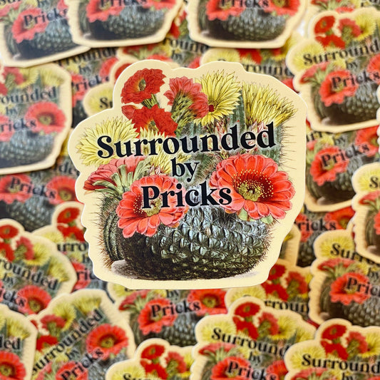 funny cactus sticker surrounded by pricks flowering cactus red yellow coin laundry funny joke stickers montana