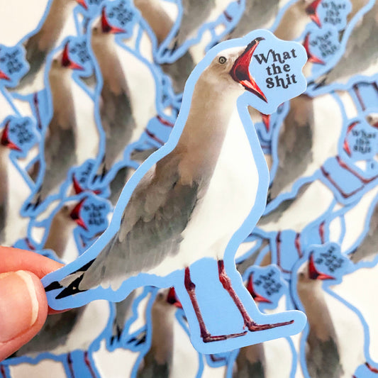 funny seagull sticker saying what the shit snarky bird sticker what the shit cute bird sticker funny stickers for bird lovers swear words stickers coin laundry montana 