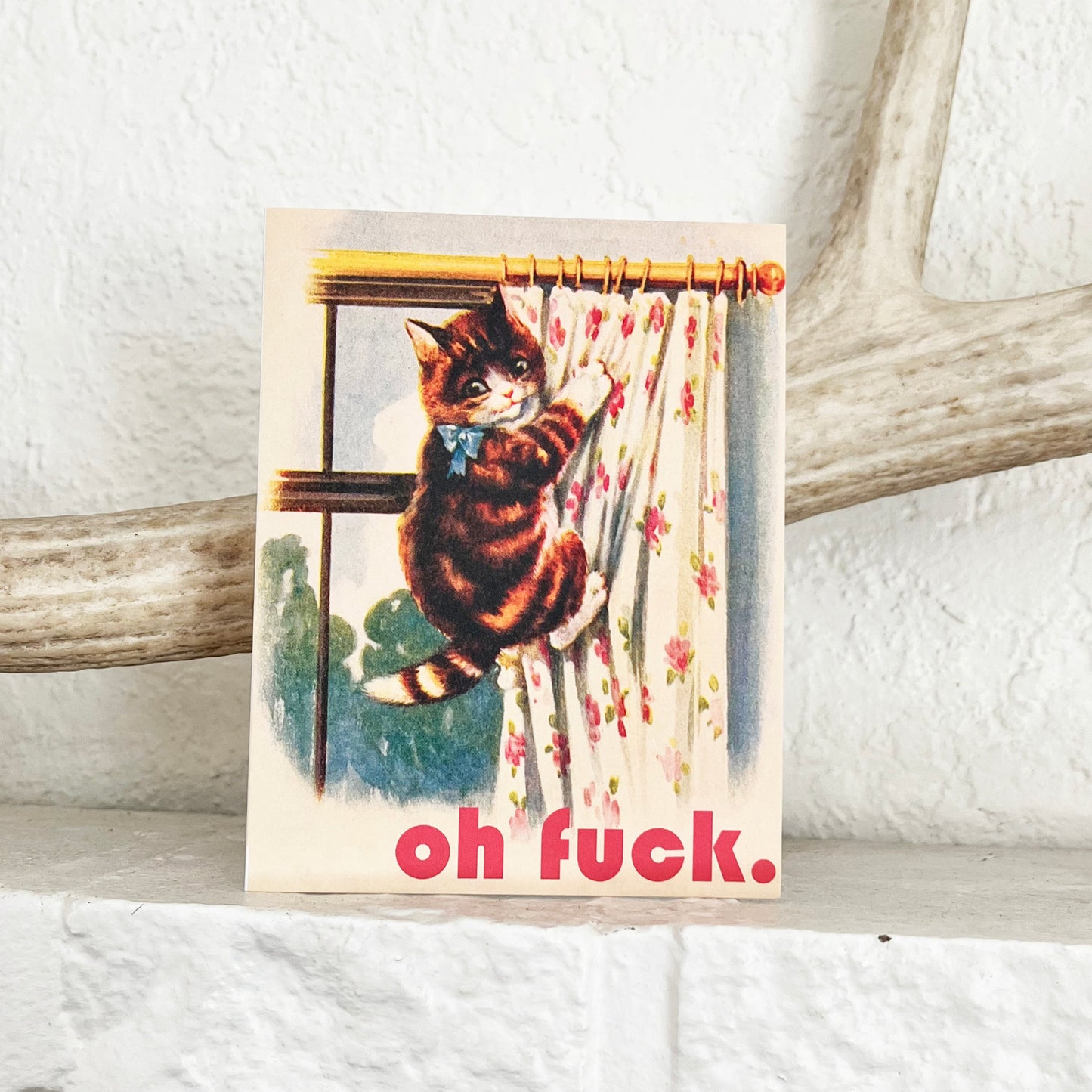 retro illustration drawing painting cat with bow ribbon hanging on curtain funny swear words card oh fuck