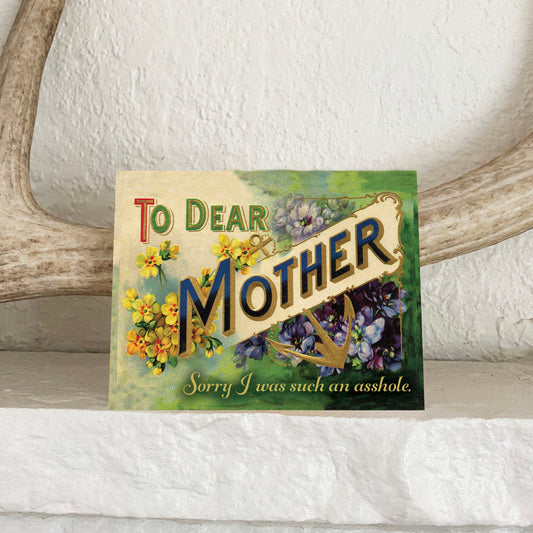 funny greeting card mother's day mom's birthday just because mom front says To Dear Mother Sorry I was such an asshole joke coin laundry vintage floral anchor yellow green purple