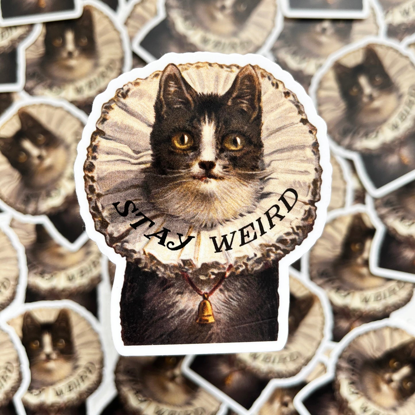 stay weird kitty sticker vintage style cat sticker stay weird funny stickers coin laundry montana