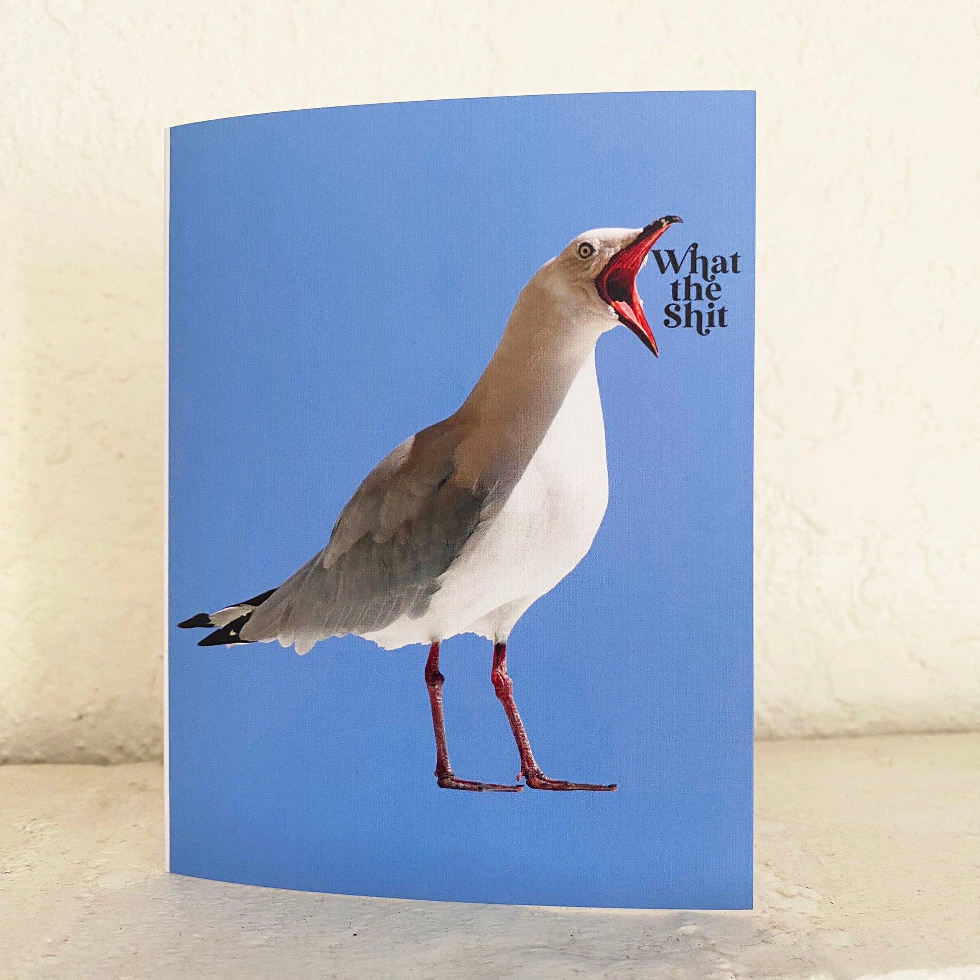 greeting card what the shit seagull bird yelling funny cards coin laundry montana fun sympathy card blue 